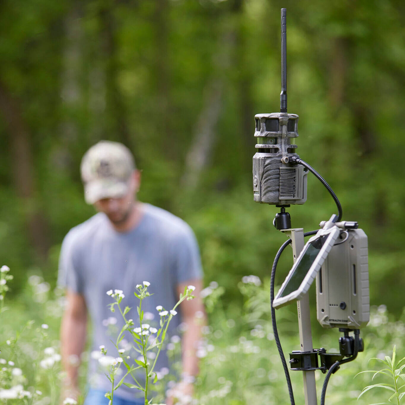 using a trail camera